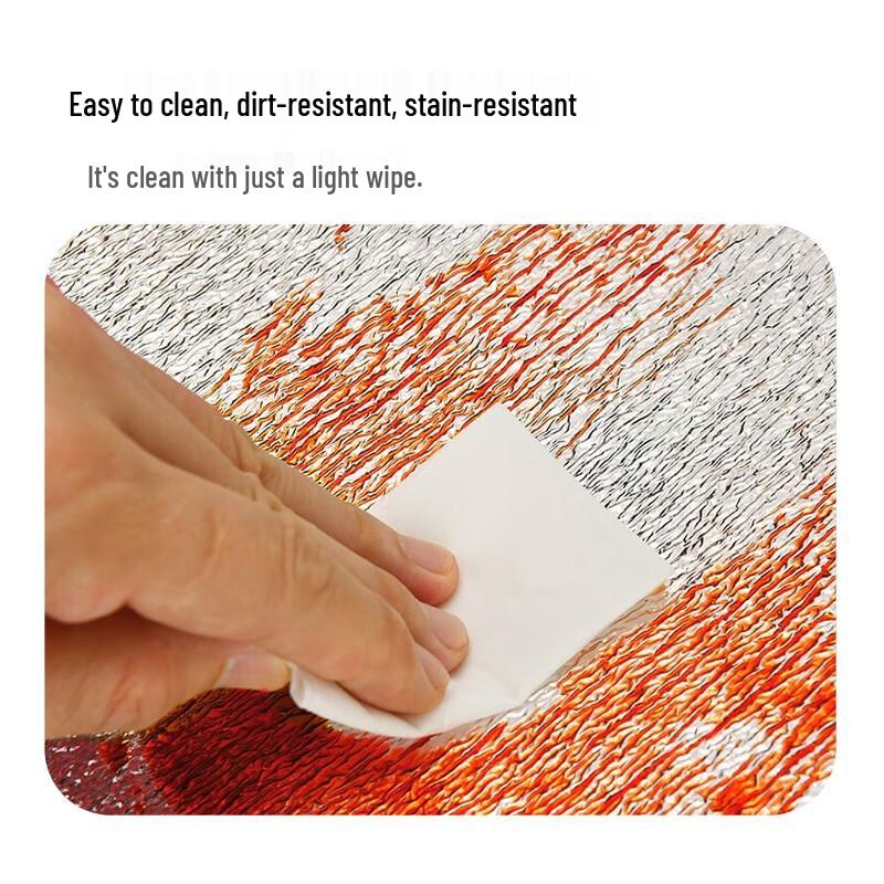 Outdoor Aluminum Film Picnic & Camping Mat