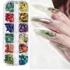 12 Grids Abalone Seashell Nail Art Slices Holographic 3D Mermaid Irregular Nail Art Glitter Flakes Manicure Sparkly Decoration T