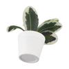 Low Maintenance Greenery Artificial Green Plant Creative Home Decoration Crafted From Quality Materials Enhances Home Aesthetics
