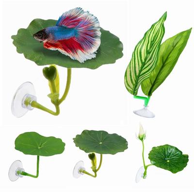 Peixes e animais aquáticos – Decoração de aquário