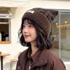 Autumn and winter new student versatile thickened warm wool hat female cute ears female plush edge pullover knitted hat