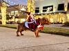 Santa Claus Riding Horse Dog Costume – Festive Pet Christmas Outfit