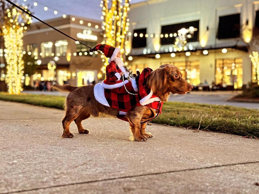 Santa Claus Riding Horse Dog Costume – Festive Pet Christmas Outfit