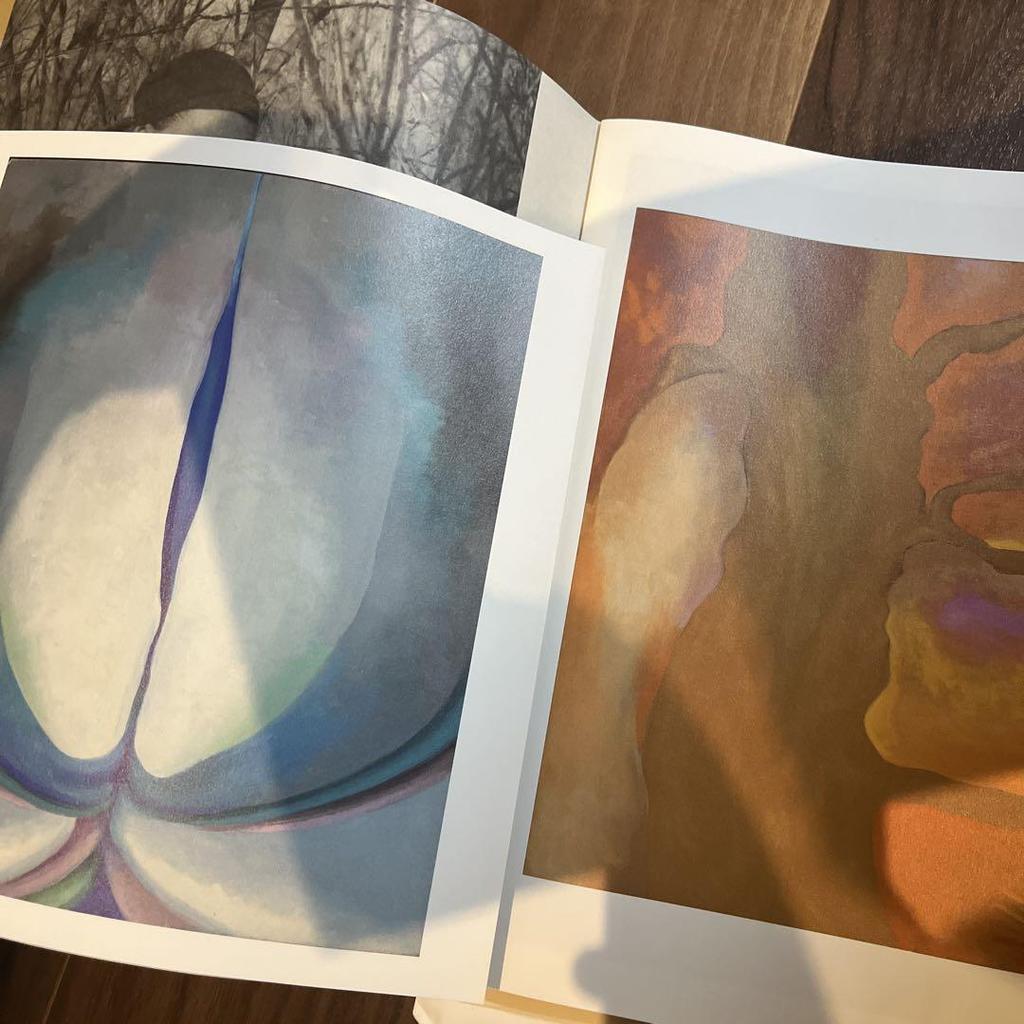 [USED] Comme Des Garcons Georgia O'Keeffe Art Book