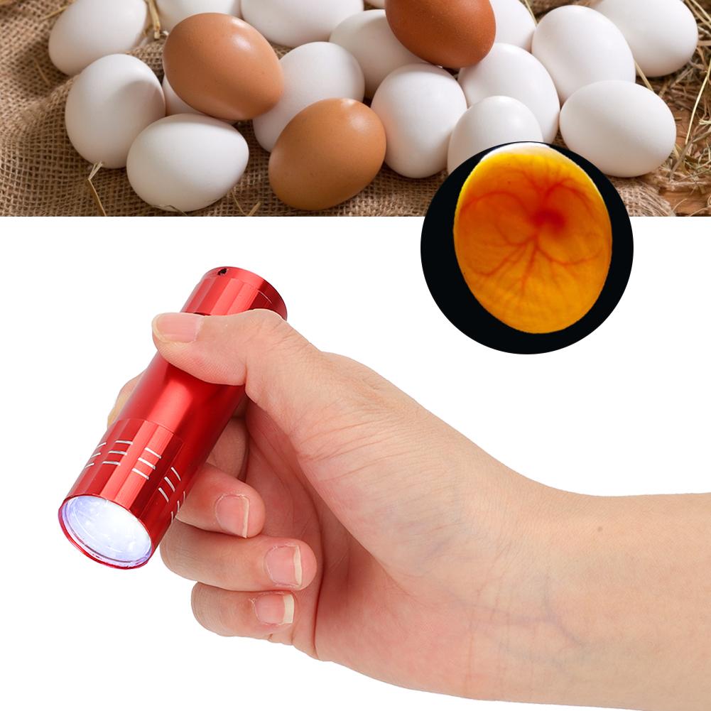 Egg Incubator Tester Candling Lamp 9 Light Bright Cold Hatching Poultry Accessory