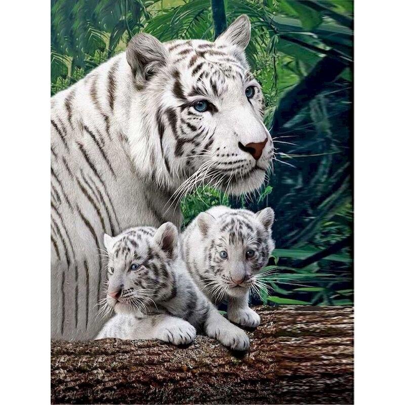 5D diamantová malba Lion Tiger Plné Kulaté Diamantové vyšívání Zvířátka Diy Barevný křížkový steh z kamínků Mozaika Umění