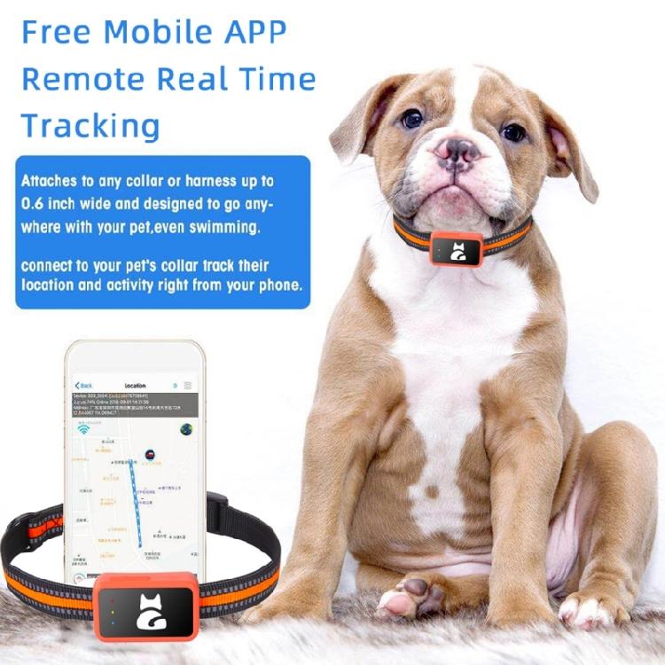 Pet Navigation Tracking Device With Multiple Networking Compatibility And Real Time Location Updates For Active Children
