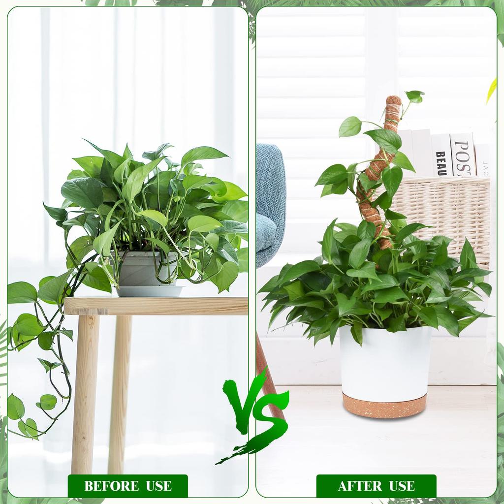 monstera moosstab Moosstab-Set Arabesque M
