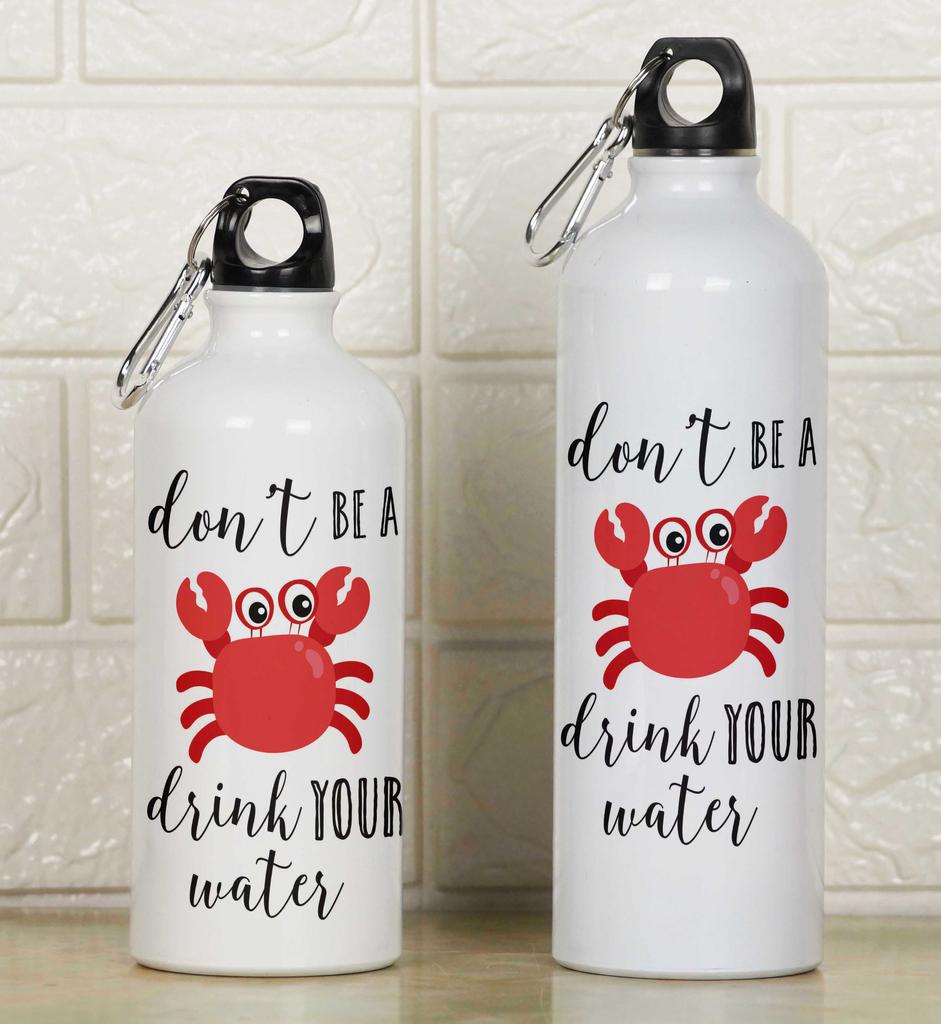 Printtoo Carabiner Clip Travel Bottle Dolphin Print Aluminum Water Bottle Kids