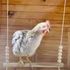 Hanging Bird Swing Toy Chicken Coop Rest Wooden Pet Swing Toy Perch Fun Chicken Bird Exercise Cage Pet Training Accessories