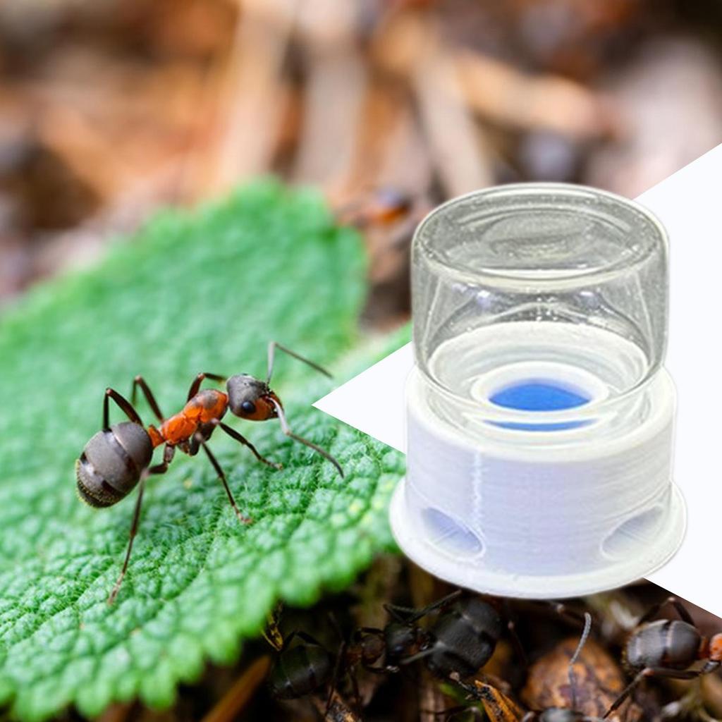 12ml Clear Ant Feeder Crickets Water Tower Station Anti-Drowning Transparent Drinking Feeder Ant Water Bowl For Ant Crickets