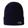 Womens/Ladies Norm Beanie