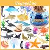 Sharke Penguins Dolphins Children Marine Animal Figures Set Model Toys Decor