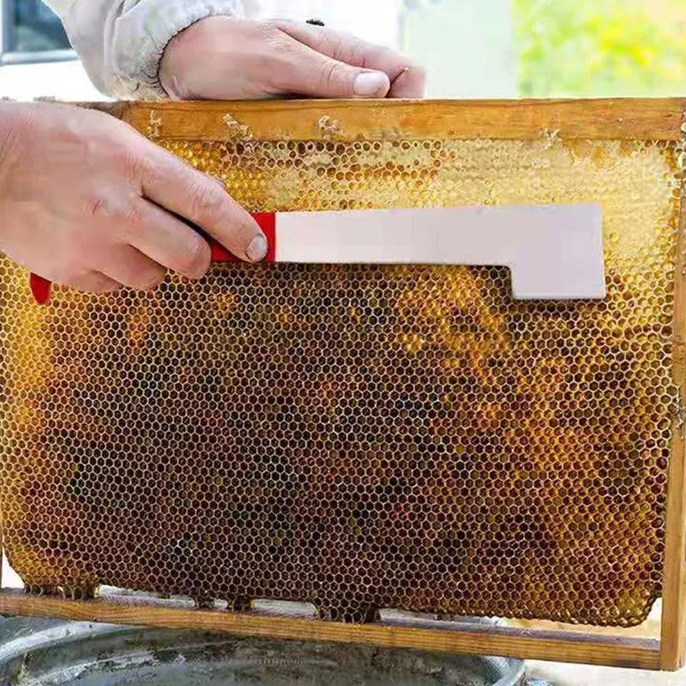 Beekeeping Equipment Stainless Steel Honey Cutting Knife Beekeeping Scraping Knife Beekeeping Supplies Stainless Steel Scraper