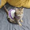 Adjustable Cats Recovery Jumpsuit Cotton Protective Garment Prevents Licking Promotes Healing For Spayed Female Cats
