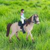 Equestrian Rider Rider and Horse Figurine Simulation Farm Animal Model  Home Decoration