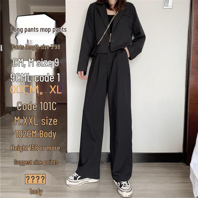 Gray High-Waisted Drapey Pants - Women s Plus Size, Straight-Leg, Pear-Shaped, Casual Spring/Summer Suit Trousers L (52.5-57.5kg)