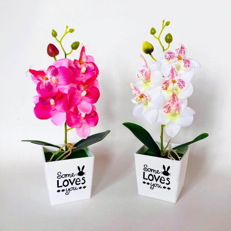 Love Pot Phalaenopsis Potted Green Plant Decorations For Home Decor Ideas Gift