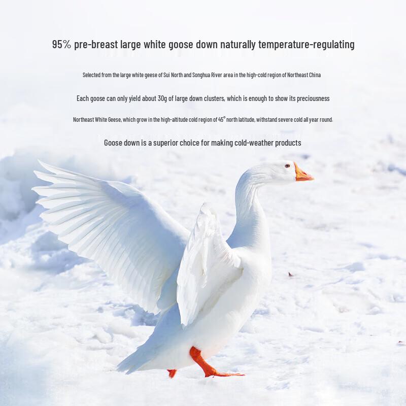 8H Y1 95% White Goose Down Winter Comforter