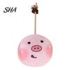 Gall Fruit Cat Toy Catnip Ball for Cats, Cartoon Plush Kick with Bell, Natural Silver Durable Vine Filling Interactive Play, Stress Relief Self-Play