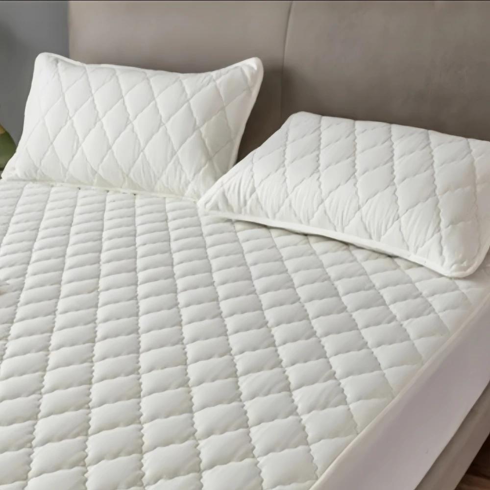 2 Piece Waterproof  Fabric Pillowcase Comfortable Plain Color Anti-Mite Anti-Bacterial Pillow Case Bedroom Home Decoration