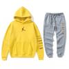 Mens Sportswear Set Hooded Fleece Sweatshirt Pants Casual Outfit Fall