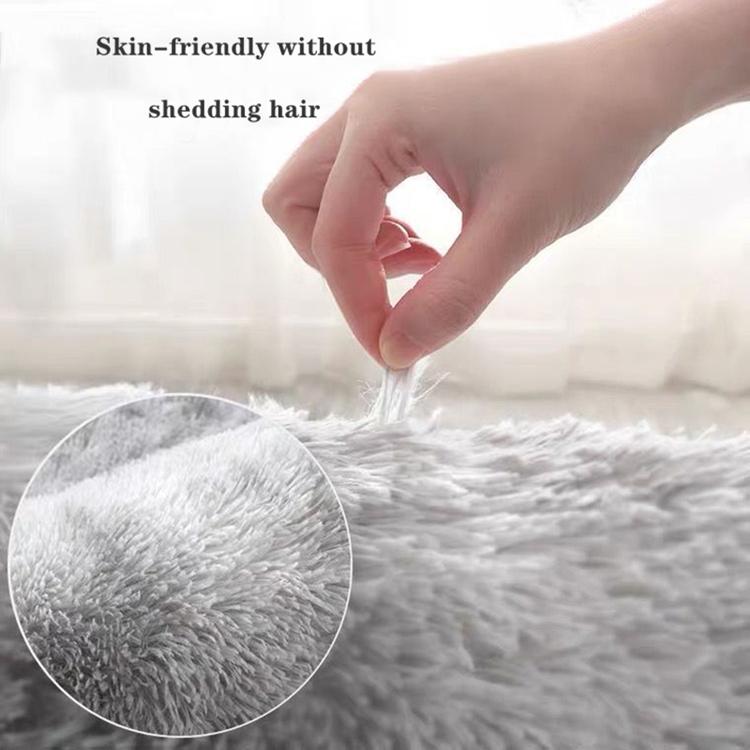 New Thick Carpet For Living Room Plush Rug Children Bed Room Fluffy Floor Carpets Window Bedside Home Decor Rugs Soft Velvet Mat