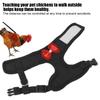   Chicken Harness and Leash Comfortable Breathable Hen Pet Vest for Hen Roosters