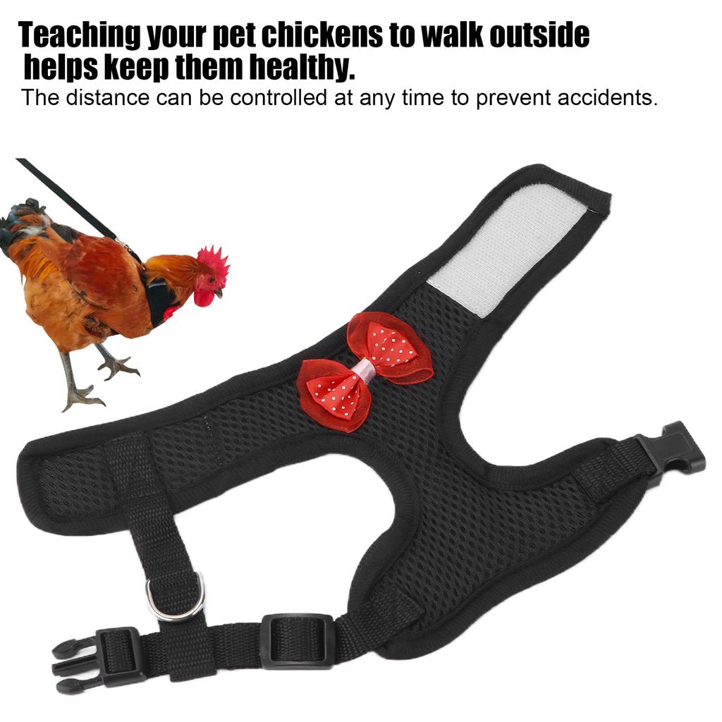 Chicken Harness and Leash Comfortable Breathable Hen Pet Vest for Hen Roosters