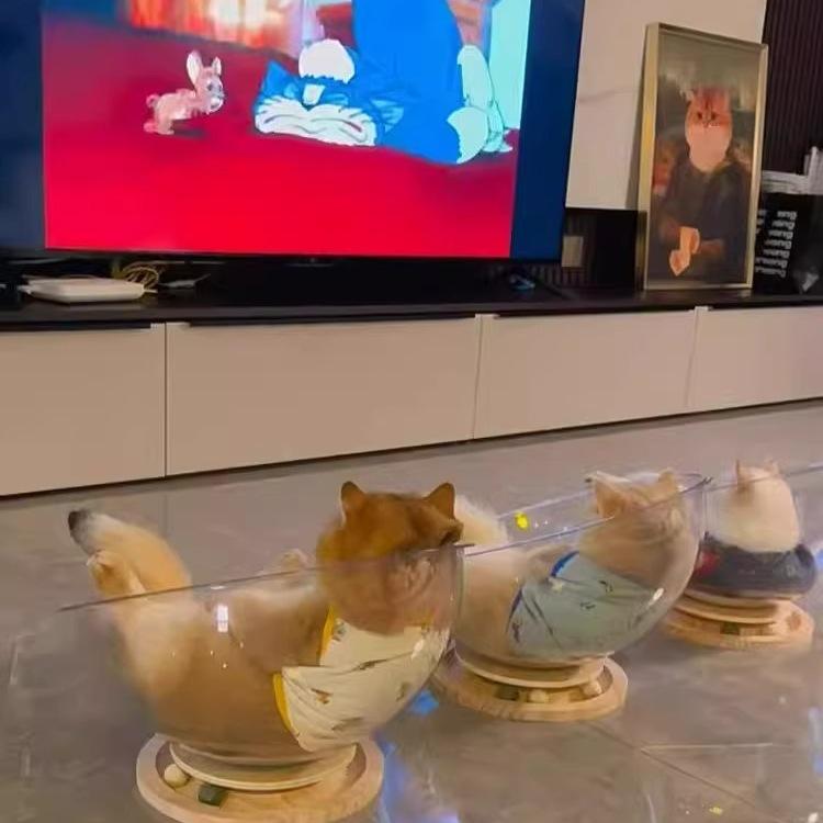 Klar rymdkapsel kattbädd - Kattunge sov- och leksak för alla säsonger