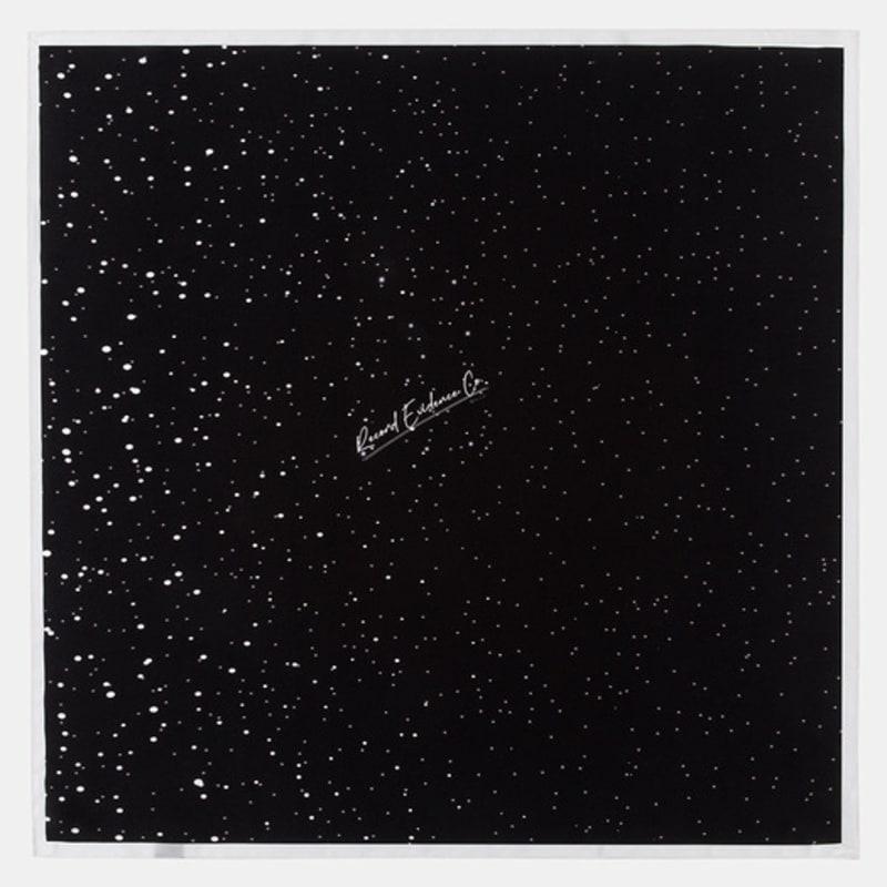 

RECLOW WAY SILK SCARF BROWN scarf FREE