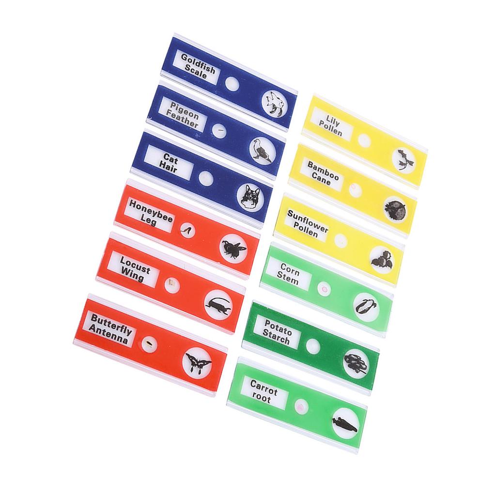 12pcs Plastic Prepared Microscope Slides Animals Insects Flowers Plants Mix Color