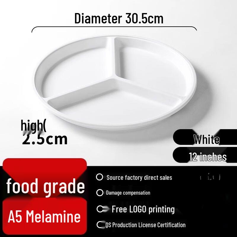 Rectangular Plastic Divided Dinner Plate