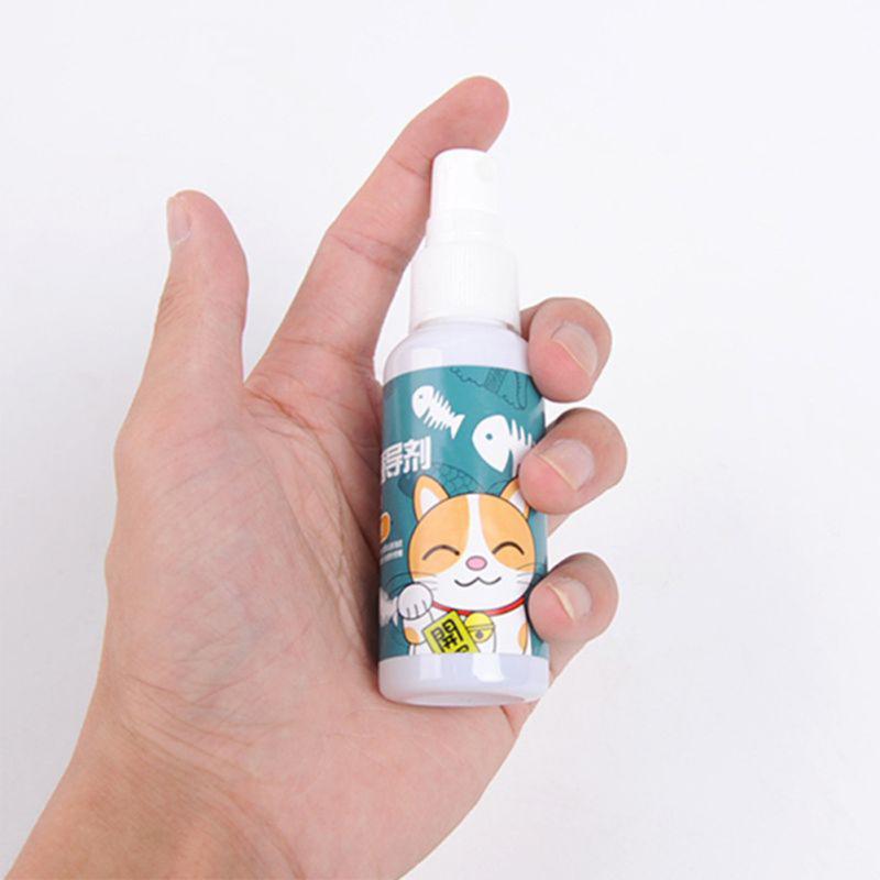 Cat Catnip Spray Natural Healthy Safe Long-term Effect Scratching Pad Inducer Pet Training Toy