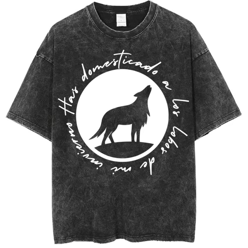 Dani Fernandez Harajuku Album Tour Vintage Washed YK Tshirts Men Women Tshirt Aesthetic Casual Cozy Oversized Tops Streetwear