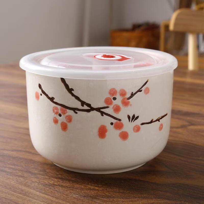 

Japanese Ceramic Fresh-keeping Bowls with Lid 6 Inch