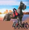 Manufacturer Reflective Breathable Multi-design Big Pet Dog Harness