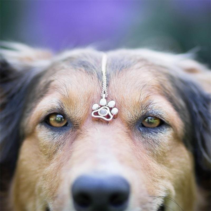Collana Proiezione Foto Personalizzata Ti Amo 100 Lingue Collana Ciondolo Memoriale Zampa di Cane Collana con Foto Personalizzata Zampa di Cane