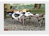 Ultra-Light Aluminum Folding Camp Bed for Camping, Office Naps, and Self-Driving Adventures