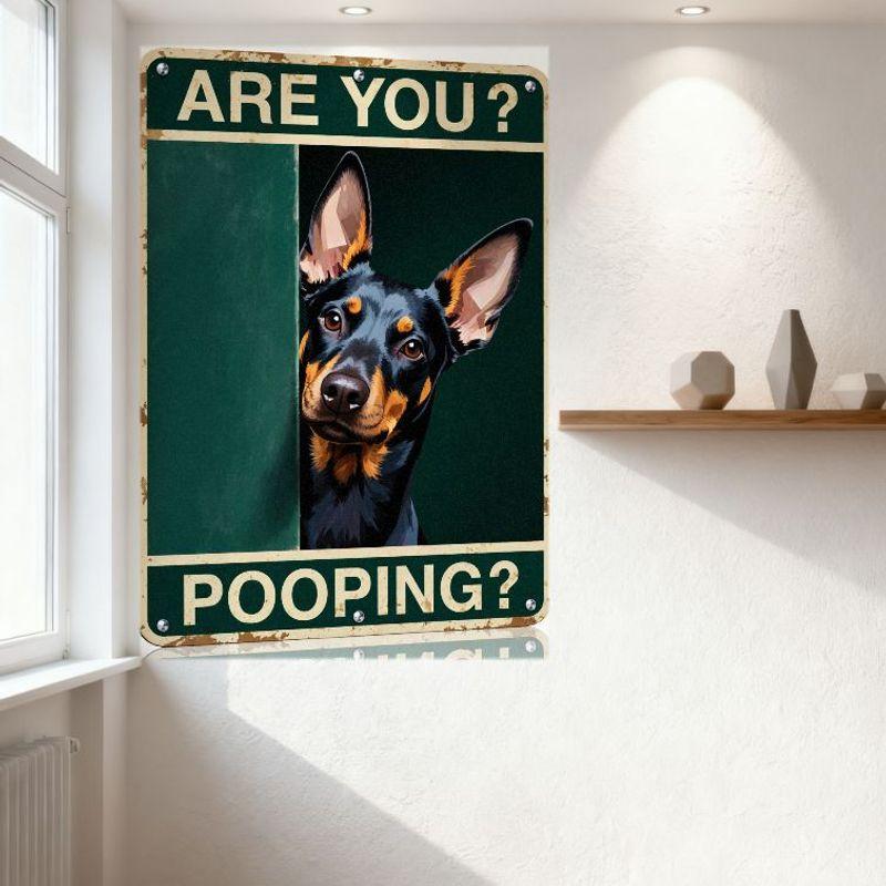 Vintage Green Background Metal Tin Sign 'ARE YOU POOPING?' with Doberman Dog Design Rustic Aged Warning Sign for Home Bar Cafe M