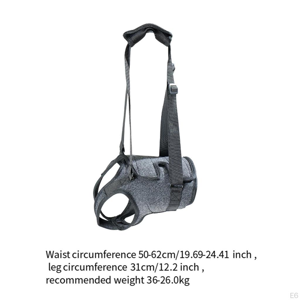 Hunde-Hilfsgeschirr für die Hinterbeine, Mobilitätshilfe für ältere Hunde