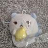 HEARTS2HEARTS [Unopened] Hillha Jiwoo Junjebi Lemon Tan Doll