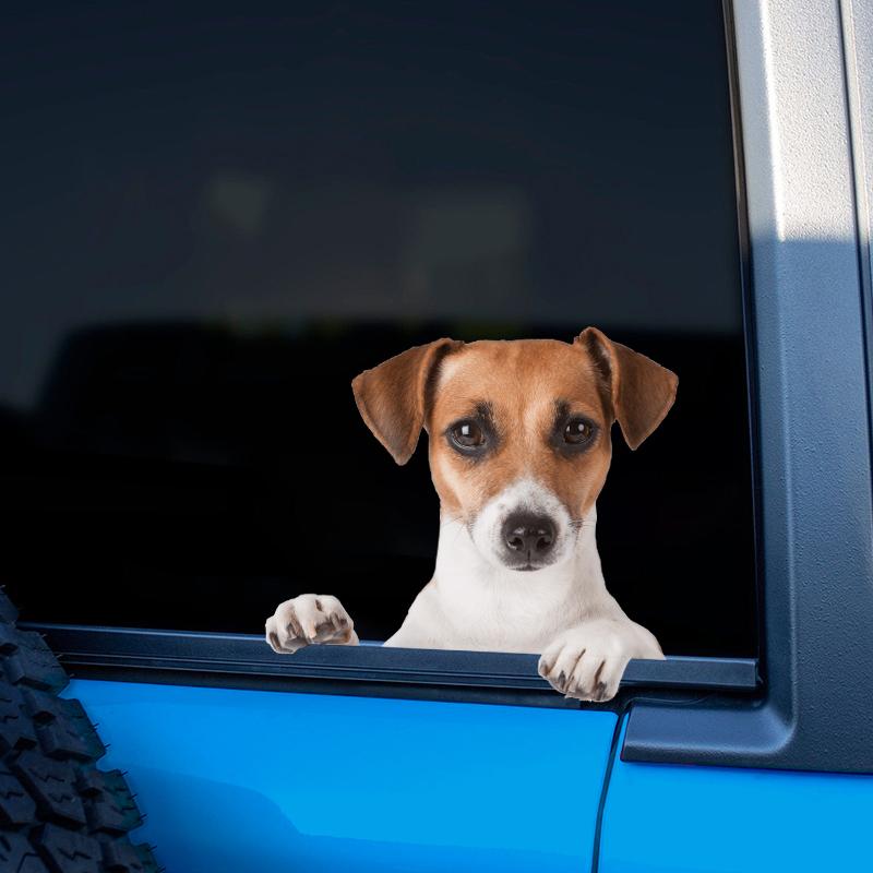 TM28# Funny Jack Russell Terrier Dog Motorcycle Bike Stickers Puppy Car Styling Decals