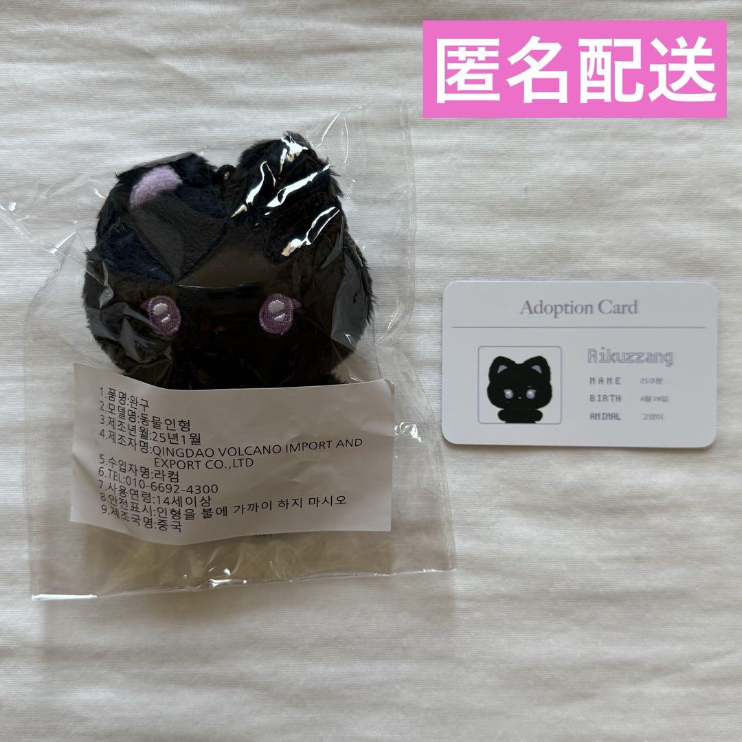 

[USED] NCTWISH Riku Plush Toy Master Yunima Winimalz