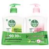 Moisturizing & Pine Antibacterial Hand Wash Set