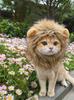 Cute Pet Hairpieces, Cats & Dogs Funny Lion Headwear Suitable For Clothing Styling Party And Fun Outfits.