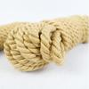 Hemp Bondage Rope Tutorial: Erotic Fixing & Tightening Guide with SM Props