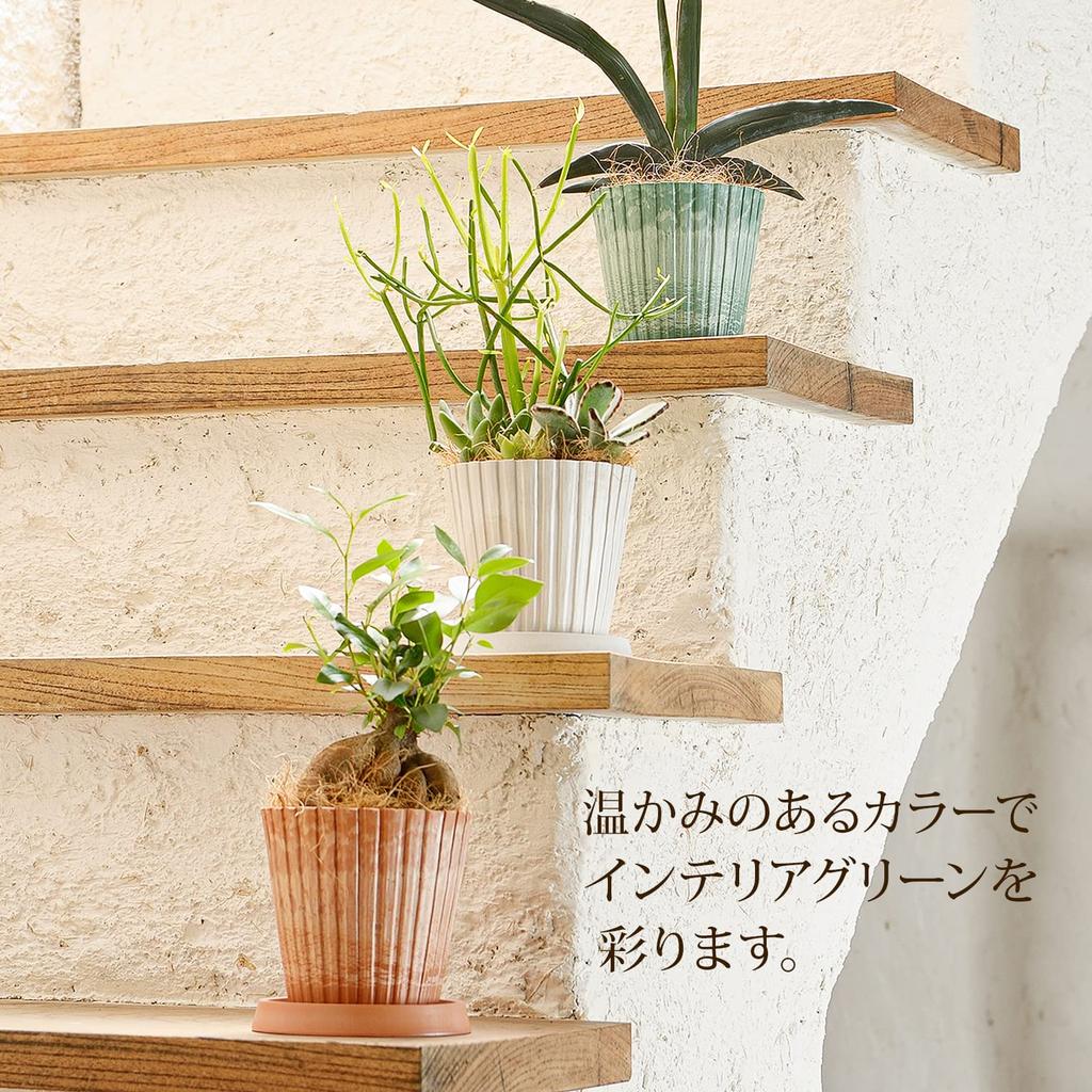 Richell Botany Stripe Pot 15 Type Set of 3 Green 003066