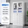 Lieve Steel Multi-Drawer Filing Cabinet