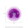 1 Pair Nipple Sucker Break Stimulator Nipple Bullet Egg Vibrator Nipple Clamps Nipple Massager for Women Sex Toys